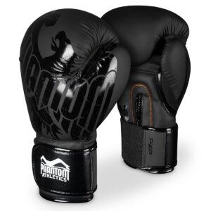 Боксови ръкавици - Boxing gloves Phantom German Eagle