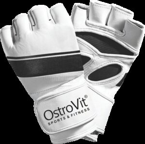 ММА Ръкавици-MMA Gloves